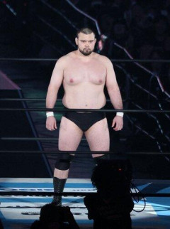 【謎】プロレスラー・ウルフアロンさん（柔道金メダリスト）が意外とパッとしない理由ｗｗｗｗｗｗｗｗｗｗ