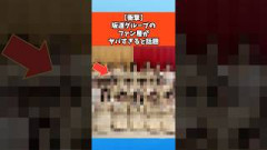 【衝撃】坂道グループのファン層がヤバすぎると話題 #乃木坂46 #坂道グループ #櫻坂46 #日向坂46