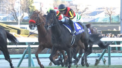 ミュージアムマイル年内休養、来年の復帰を目指す