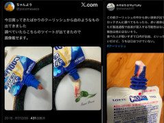 【衝撃】ロッテ「クーリッシュ」から血液検出！2歳児に食べさせる直前に母親が発見→ロッテも事実を認めるが「混入原因は特定できず」「自主回収の予定なし」…過去にも同様の報告