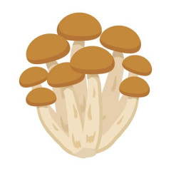 【募集】「しめじ」を一番美味く食べる方法wwwww