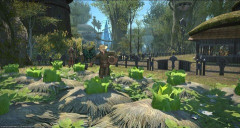【FF14】白菜の価格がついに1000円を突破しレガシーの月額料金並みになる。「白菜1玉ならさすがにFF14に課金するわ」