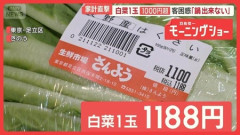 白菜1/4カットが280円ww