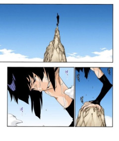 【BLEACH】隠密機動総司令官の砕蜂ちゃんwｗｗ
