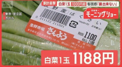 ハクサイ１玉１１８８円になる！