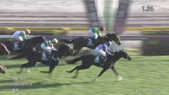 エフフォーリア産駒が重賞初勝利！アゴルディーノがサウジアラビアRCを制す！【ウマ娘民の反応】