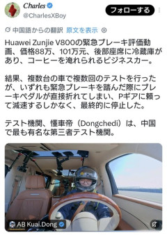 中国車、急ブレーキで力入れるとブレーキペダルが折れる😨