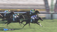 【サウジアラビアRC】そっちのエフフォーリアかい　他