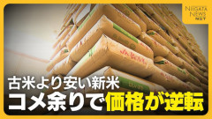 新米価格５割安で流通開始　古米より安くなる新米　米卸業者「去年の古米どうすんの？まだ倉庫に大量にあるんだけど？」