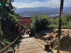 【散歩徒歩旅】京都駅から伏見稲荷の稲荷山（標高233m）まで歩く