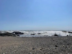 海来たぞ！（※画像あり）
