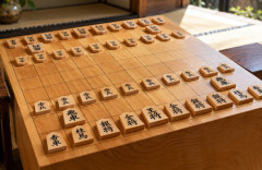 西山朋佳さん、新制度により将棋界初「女性棋士」の権利を獲得！ → 女子枠だと叩かれてしまう