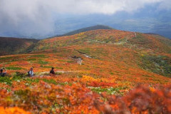 お前らなんで登山しない？紅葉してて綺麗なのに…（※画像あり）