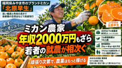 【速報】JA関係者「みかん農家は頑張れば年収2000万稼げる。都会で稼ぐよりいいのではないか？」