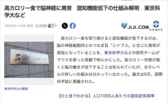 【研究】デブ「高カロリー食うんめえ！濃けりゃ濃いほどうめえ！」→デブは脳神経に異常が発生し認知機能が低下していると判明