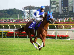 競走馬の名前を書いていくトピ