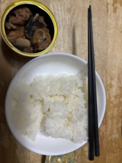 社会人ワイの夜ご飯