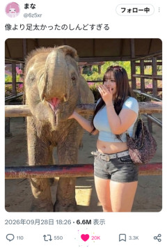 【悲報】動物園に行ったオシャレ女子、象より脚が太くて大炎上www