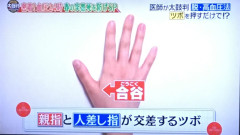 スーパーエリートだけどネオニートな従兄。その従兄のオタクグッズを甥っ子が破壊してしまった　→　従兄から甥への制裁が凄すぎてサイコパスすぎる…,,