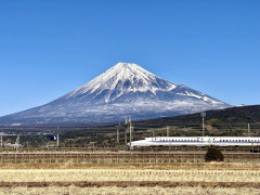 東海道新幹線って無茶苦茶な本数走ってない？