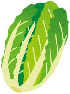 【白菜】ハクサイ1玉1000円超え 長雨・日照不足で葉物野菜が高騰 「鍋できない」客も困惑