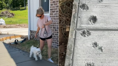 愛犬が存在した証を残したい。新居のコンクリートを踏んでもらい、肉球を刻んだ飼い主