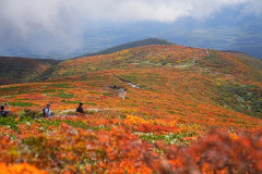 【画像】お前らなんで登山しない？紅葉してて綺麗なのに…