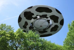 【大人気】海外で大ウケした日本の『牛乳のCM』がコチラ【動画】