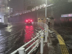 【怖報】千葉さん、うっかり地球上最悪の侵略植物を拡散してしまう