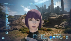【FF14】キャラクリの自由度をもっと上げてほしい？顔パーツの追加を望む声
