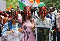 インドで若者中心の団体『ゴキブリ党』発足 →創設者や支持者約5000人が逮捕される事態にｗｗｗｗｗｗ　