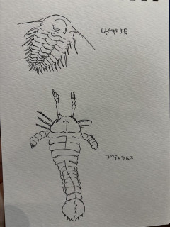 ワイ、大絶滅展に行く