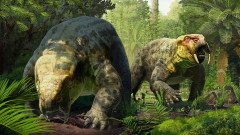 2億4000万年前の化石は新種の草食動物。最古の恐竜の起源が塗り替わる可能性