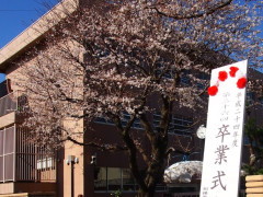 卒業式だった。美女「私のリボンもらってくれますか？」俺「…え？あ、ありがと」　→　数日後、美女「…ごめん、返して」俺（！？）　なんと,,,