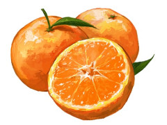 【🍊】「人生で一番みかん食べた」 愛媛・松山市の朝食バイキングが話題