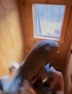 女さん、トイレでウ●コしてたら窓からシカとクマが入ってきて揉みくちゃにされて号泣