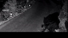 【🐻】玄関先で59歳男性がクマに襲われる…眼球が破裂するなどの重傷　愛知・豊田市