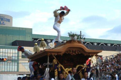【悲報】だんじり祭りの落下した人、逝く
