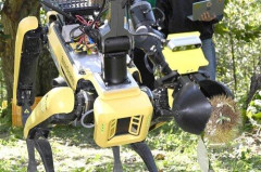 【悲報】栗拾いの仕事、ロボットに奪われそう