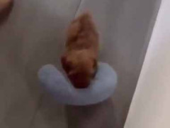 彼に私のネックピローを取られた。これはもうオレの物だ！ → さっそくこうします…