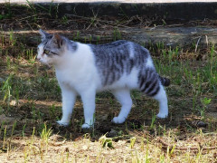 ３年前、私が弟嫁に「○（弟の母校名）にもたくさんお嬢さんが居はったのに」って言ったら、それを間違った意味で勝手に理解して根に持っていてウザい。悪意はないっつーの！