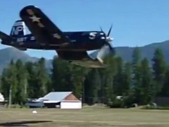 草地の上を低く横切るF4Uコルセア、次は観客の列の真上を飛び越える「2回目のは身がすくんだ」【海外の反応】