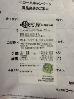 【画像】オタクさん、人気キャラのフィギュア1体に60万円を使ってしまうｗｗｗ