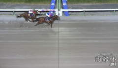 【競馬】南部杯は吉原騎乗のメイショウハチローがV