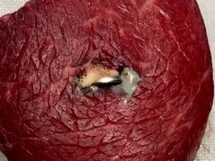 生肉の切れ目に挟んだ電池、周りの肉だけ泡が出て色が抜けていく早回し映像「これは本当に怖い」【海外の反応】