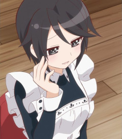 海外「なんで日本ってあんなにもメイドが大好きなんだ…？」