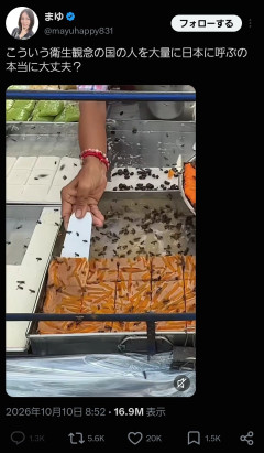 虫がたかるタイのスイーツを「衛生概念がない」と日本人が批判→ガチでタイで炎上ｗｗｗｗｗ （※画像あり）