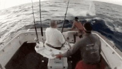 【ＧＩＦ画像】フフッとしちゃう画像ｗｗｗｗｗｗｗｗｗｗｗｗｗｗｗ