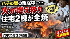 【岐阜】火で蜂の巣駆除していた70代男性、火に驚きハシゴから落下…建物に燃え移り母屋等炎上