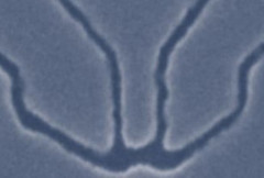 半導体で原子1個分の薄さを実現、東京大学が新材料…TSMCと連携へ！